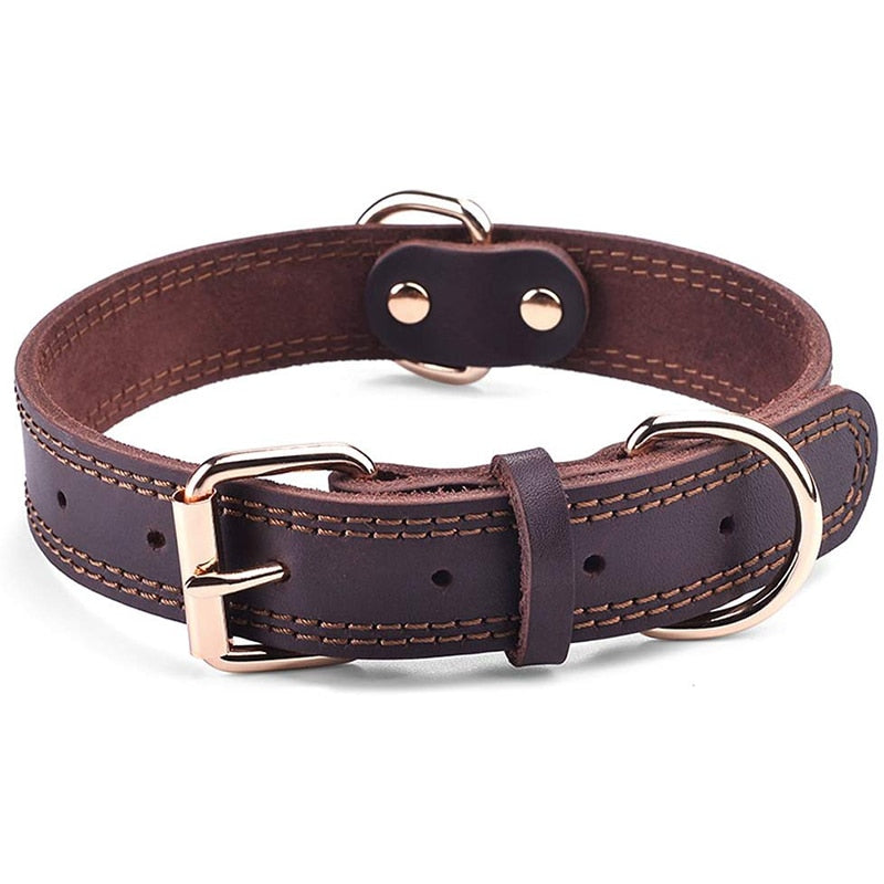 Leather Dog Collars