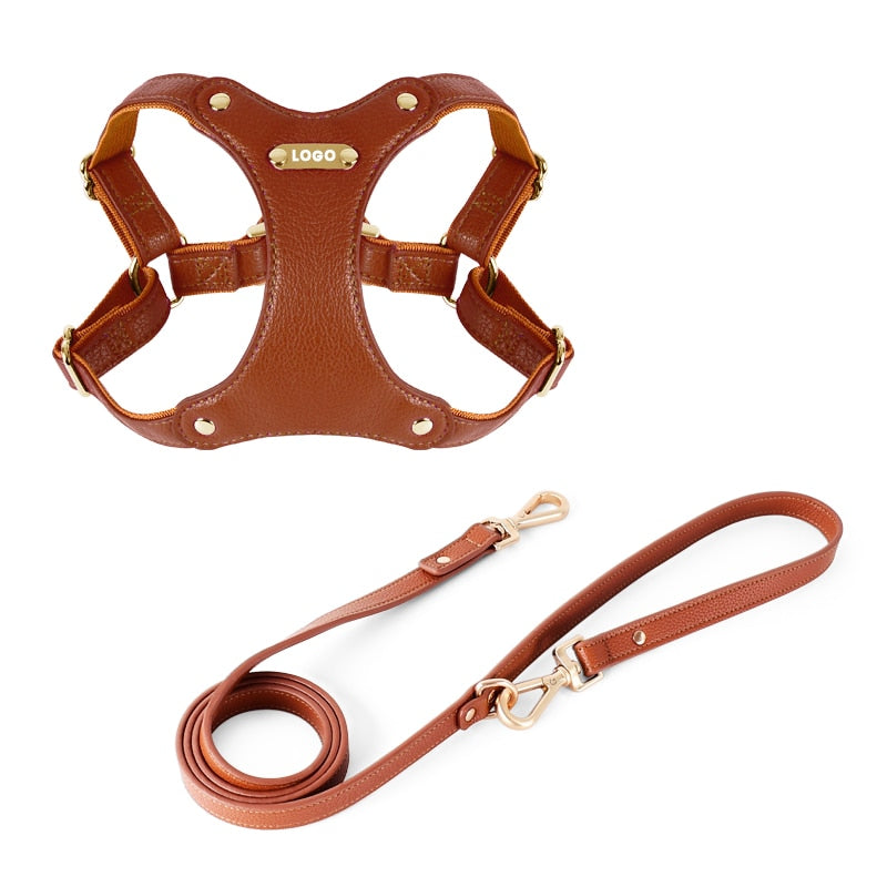Harness Leather Dog Collar Leash Set