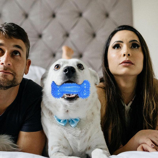 Bone-Piercing Shape Dog Teeth Cleaning Toys