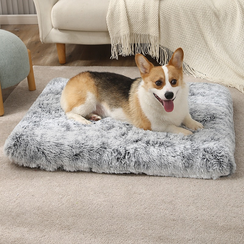 Wave Cotton Foam Mat Pet