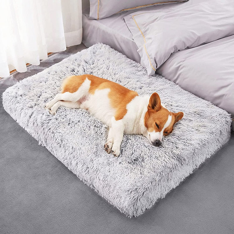 Wave Cotton Foam Mat Pet