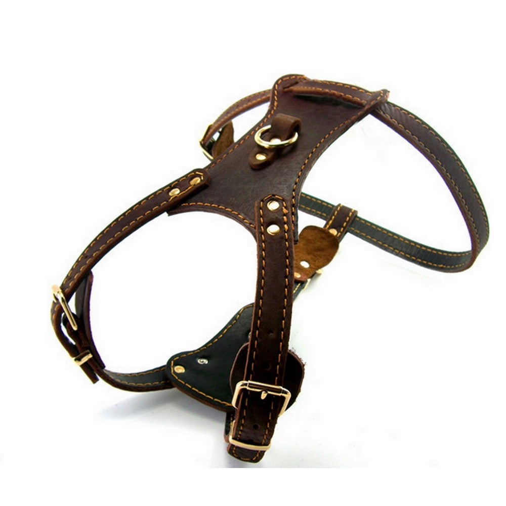 Genuine Leather Dog Harness Vest