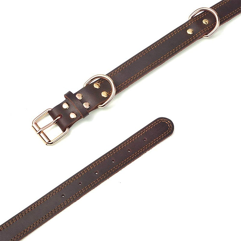 Leather Dog Collars