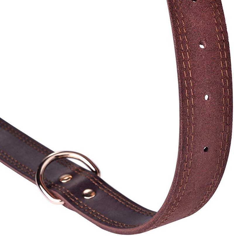Leather Dog Collars