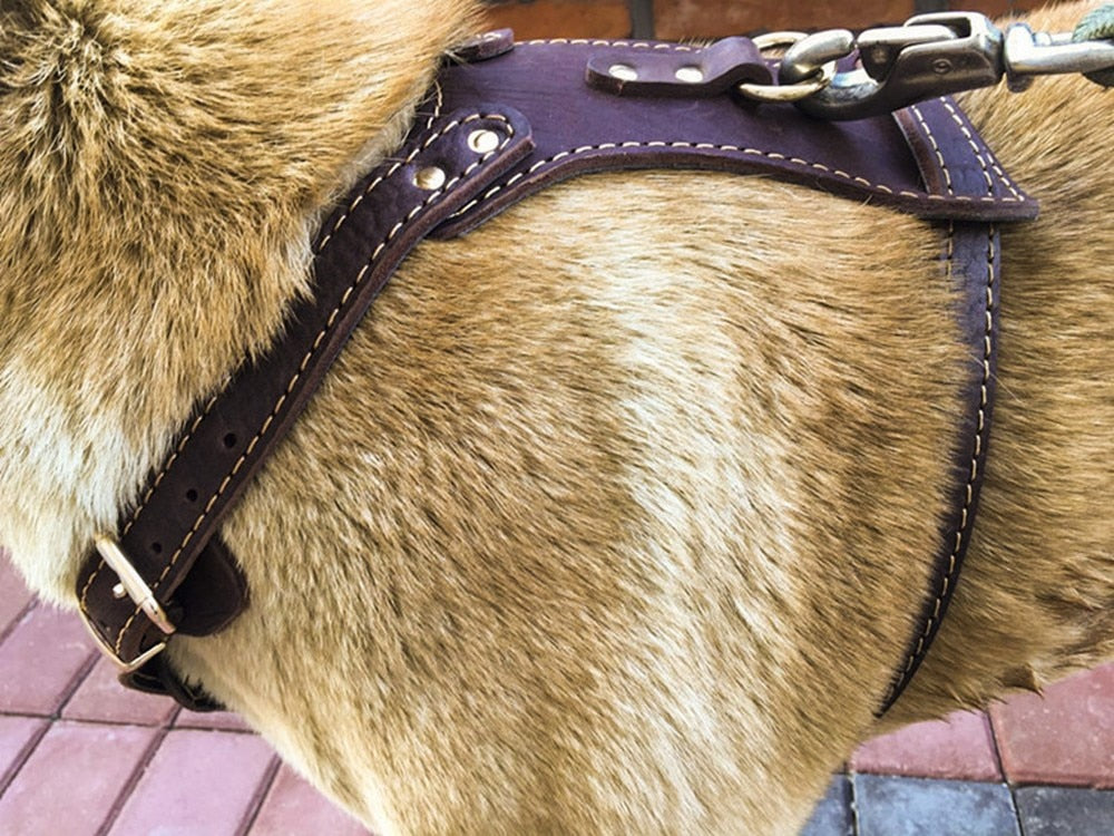 Genuine Leather Dog Harness Vest
