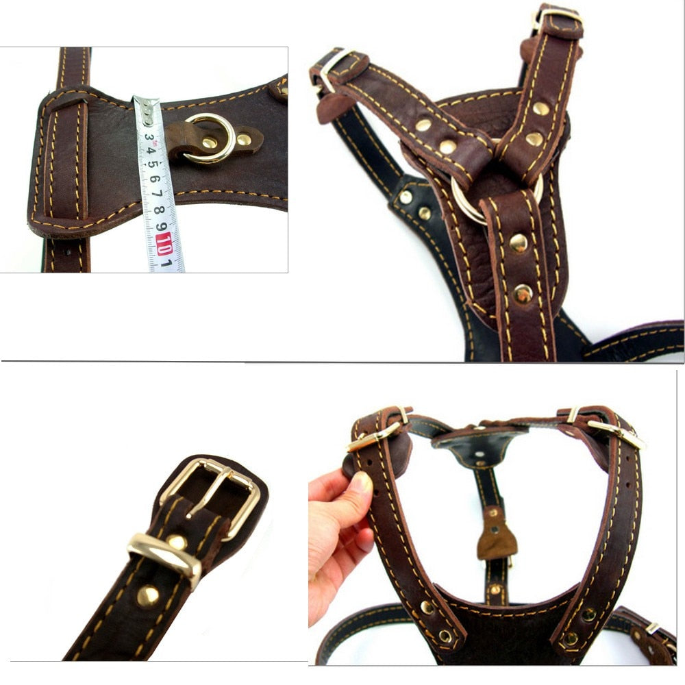 Genuine Leather Dog Harness Vest