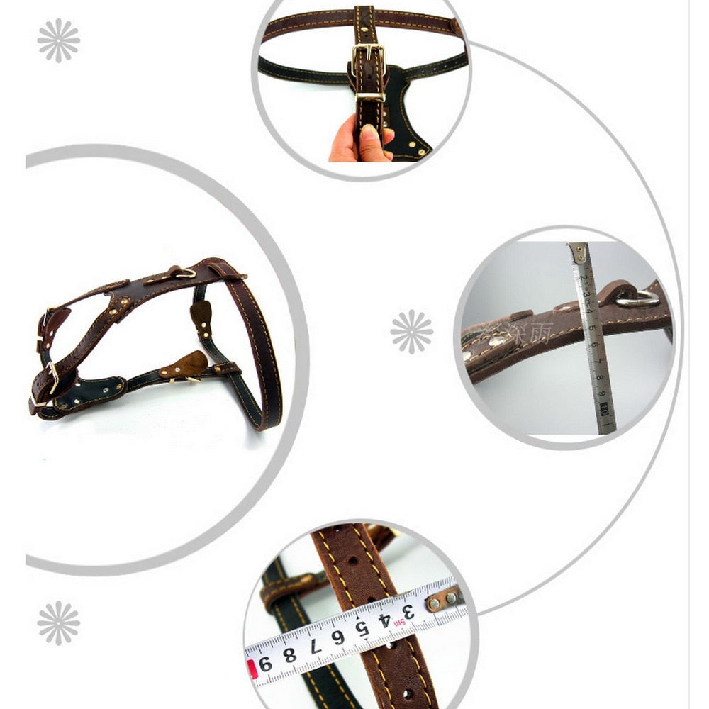 Genuine Leather Dog Harness Vest