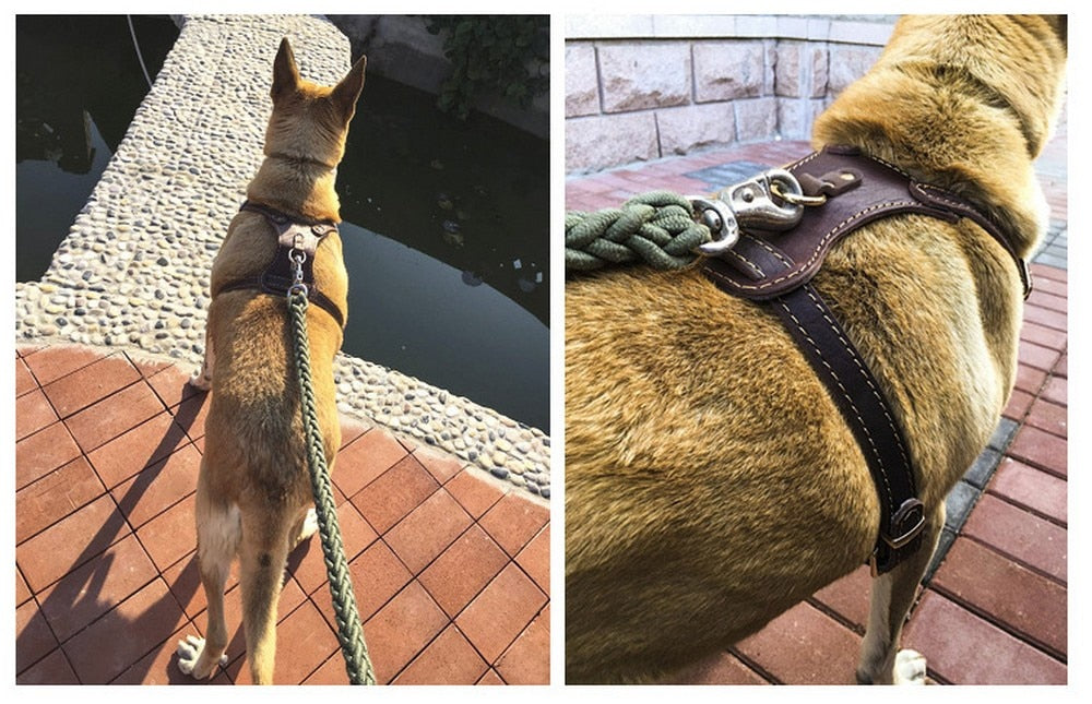 Genuine Leather Dog Harness Vest