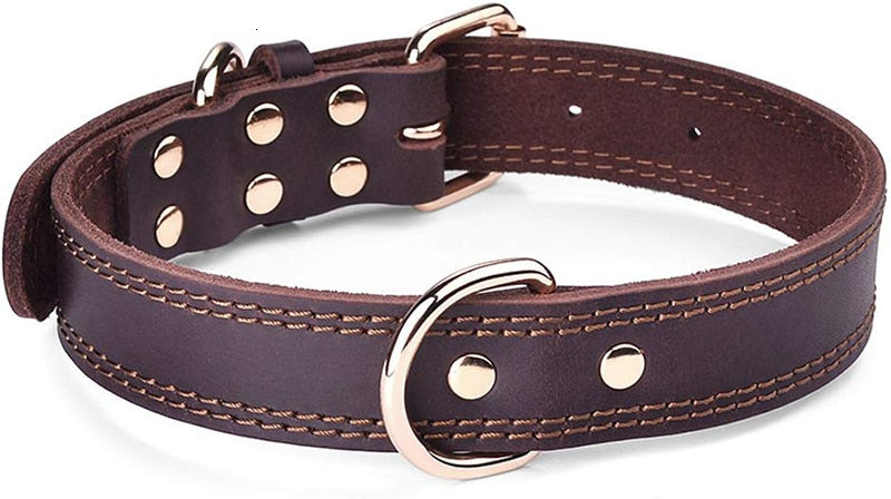 Leather Dog Collars