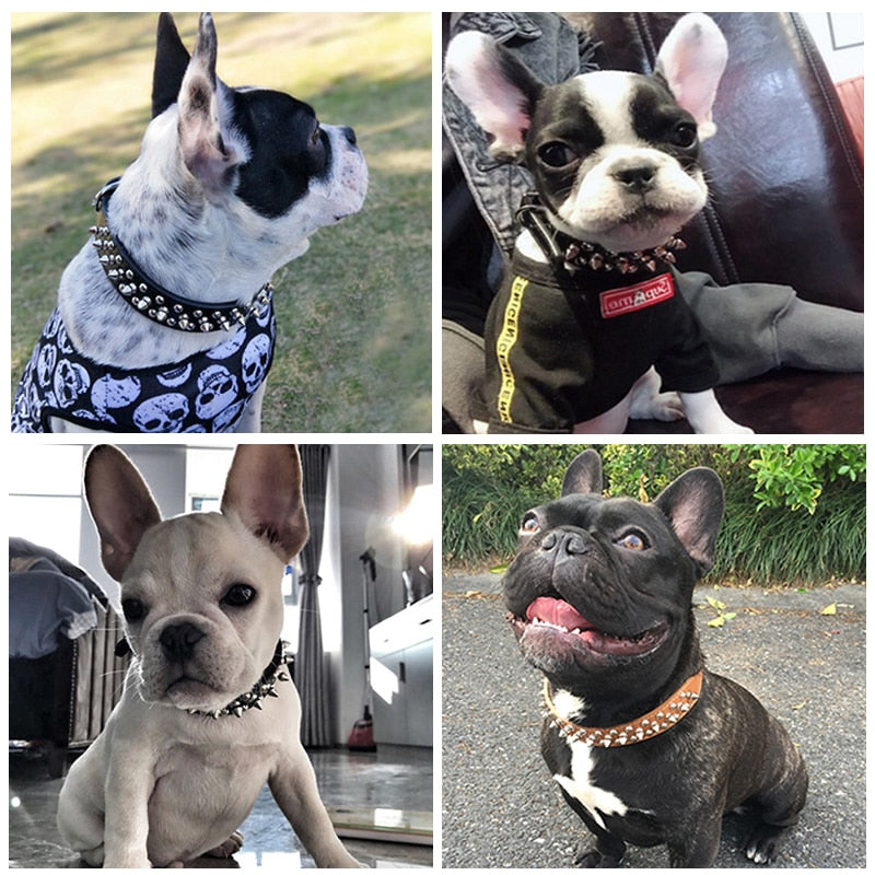 Adjustable Leather Pet Dog collar Neck Strap