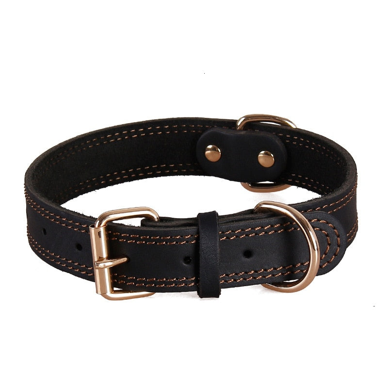 Leather Dog Collars