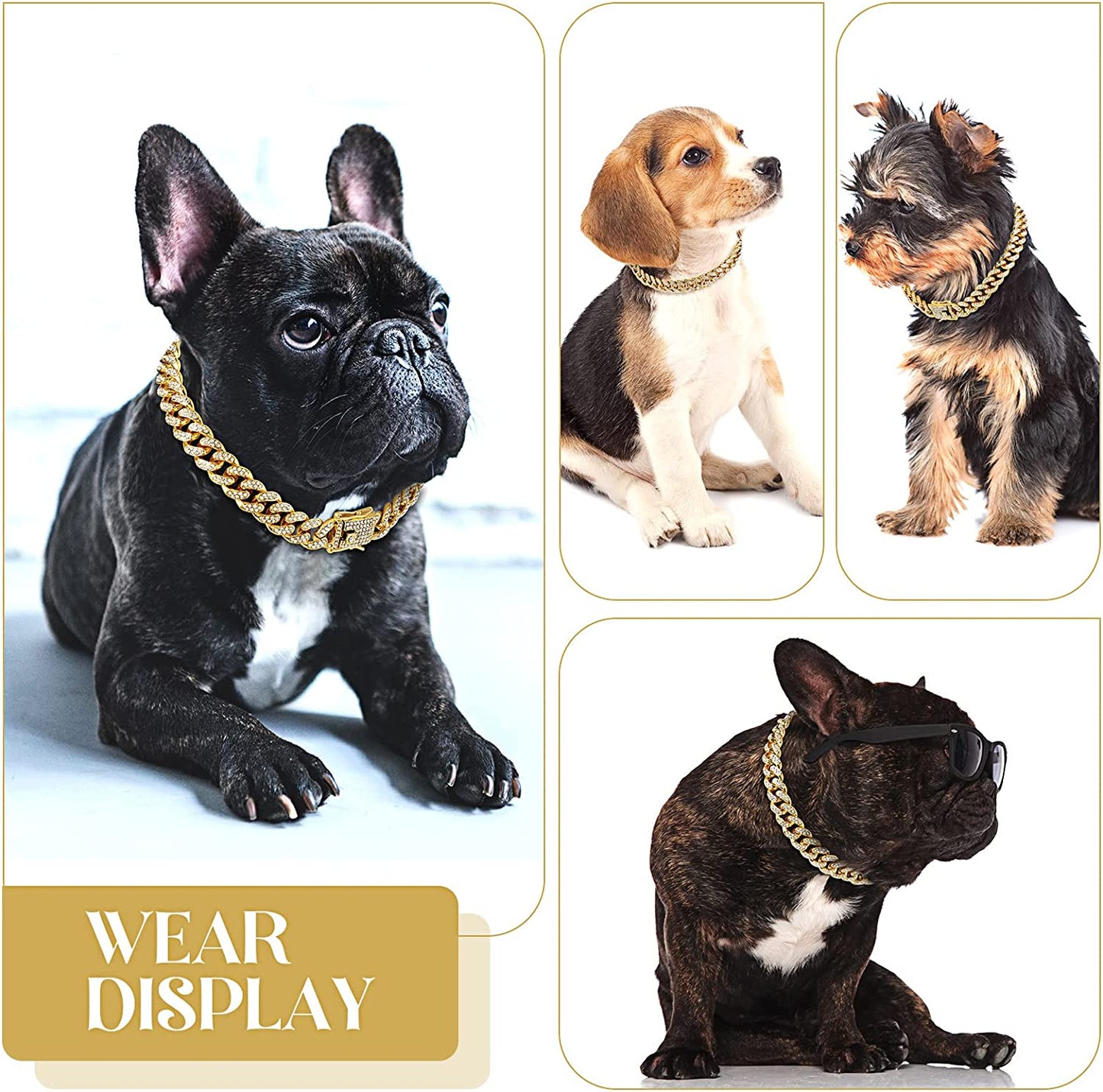 Luxury Diamond Dog Chain Collars