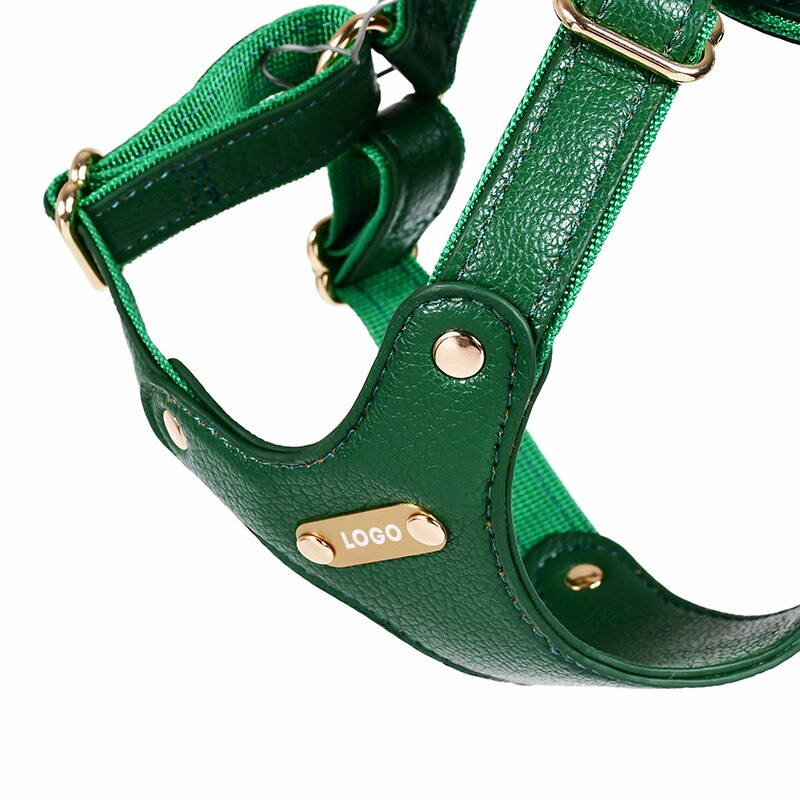 Harness Leather Dog Collar Leash Set