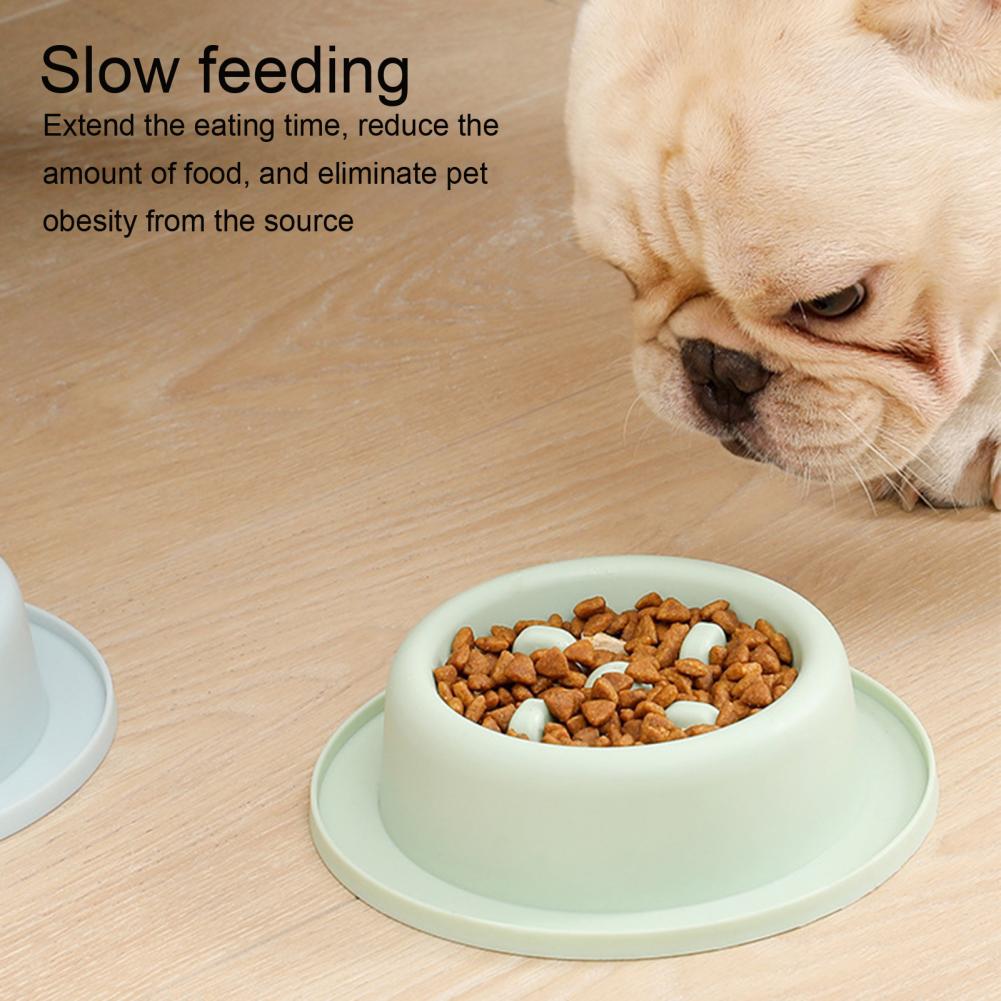 Safe Non-Slip Slow Feeder Pet Bowls