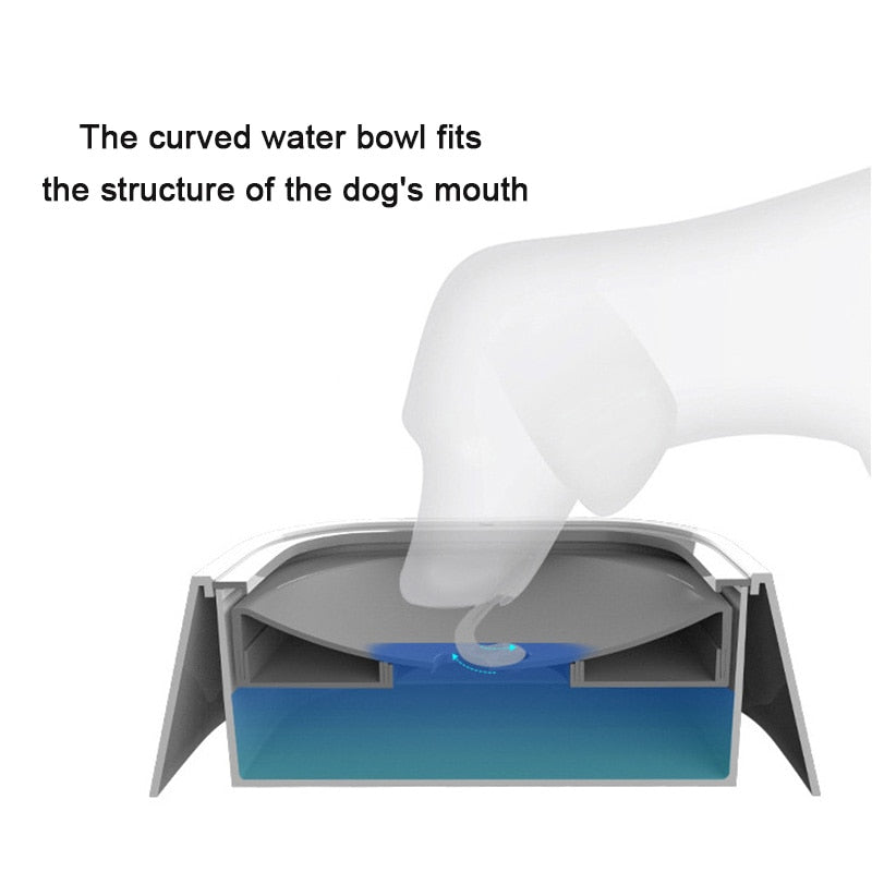 Drinkbak Hond Dog Drinking Water Bowls