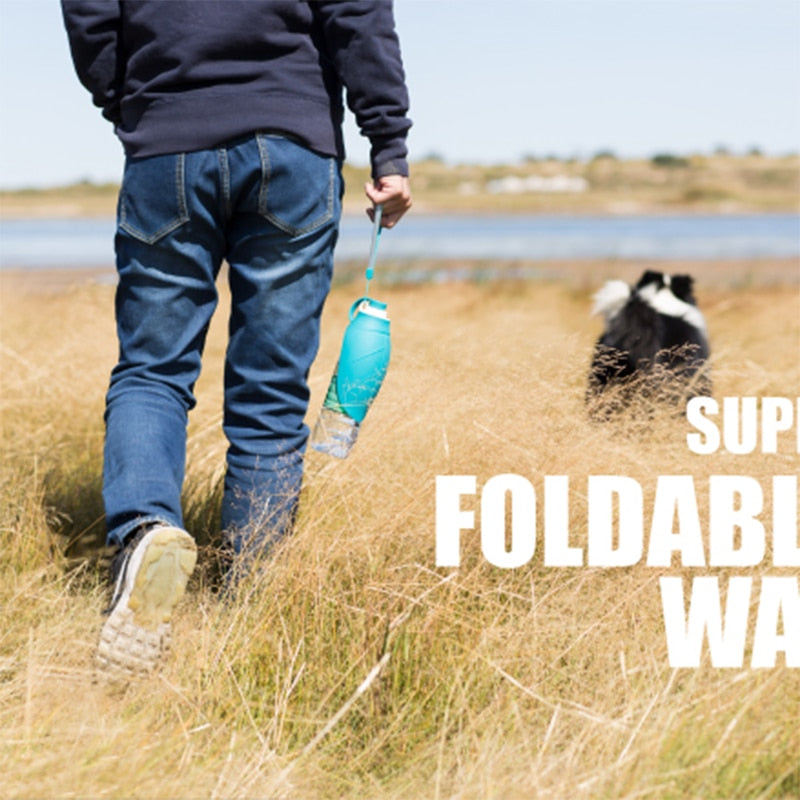 Soft Silicone Leaf Design Water Bottles for Pets
