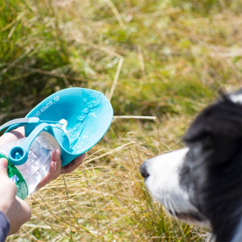 Soft Silicone Leaf Design Water Bottles for Pets