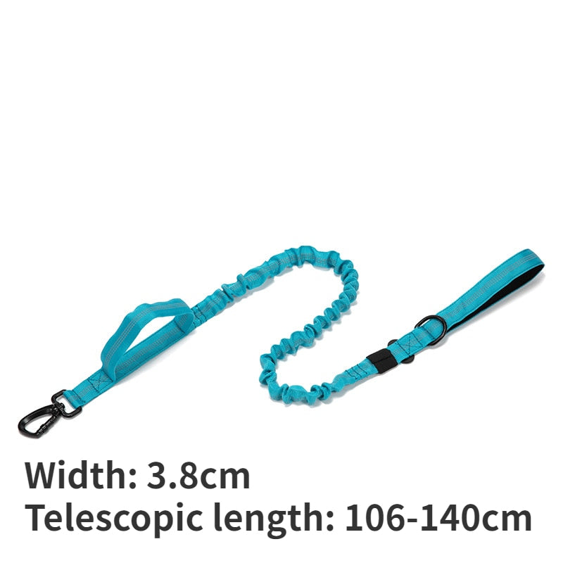 Durable Tactical Dog Leashes and Collars Military Heavy Duty