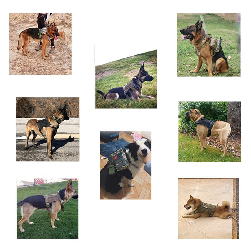 Military Dog Harness with Handle Hunting
