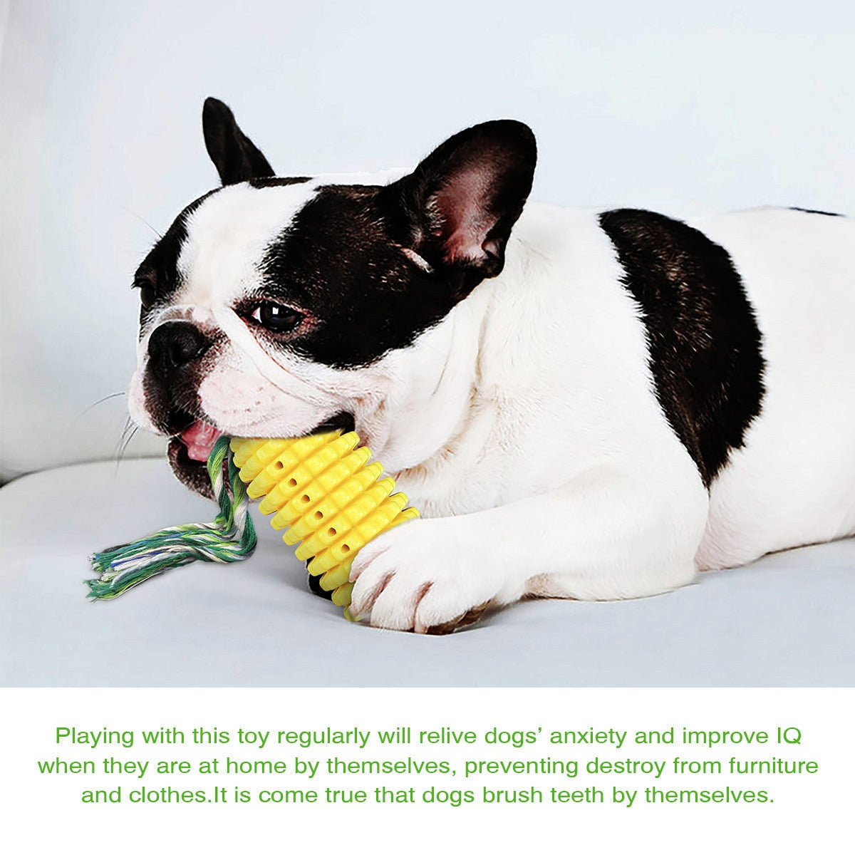Simulation Corn Squeaky Chew Toys