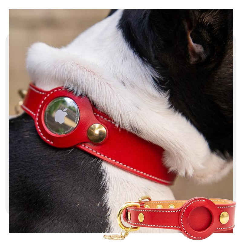 Genuine Dog Leather Collars । Rolled Leather Dog Collar