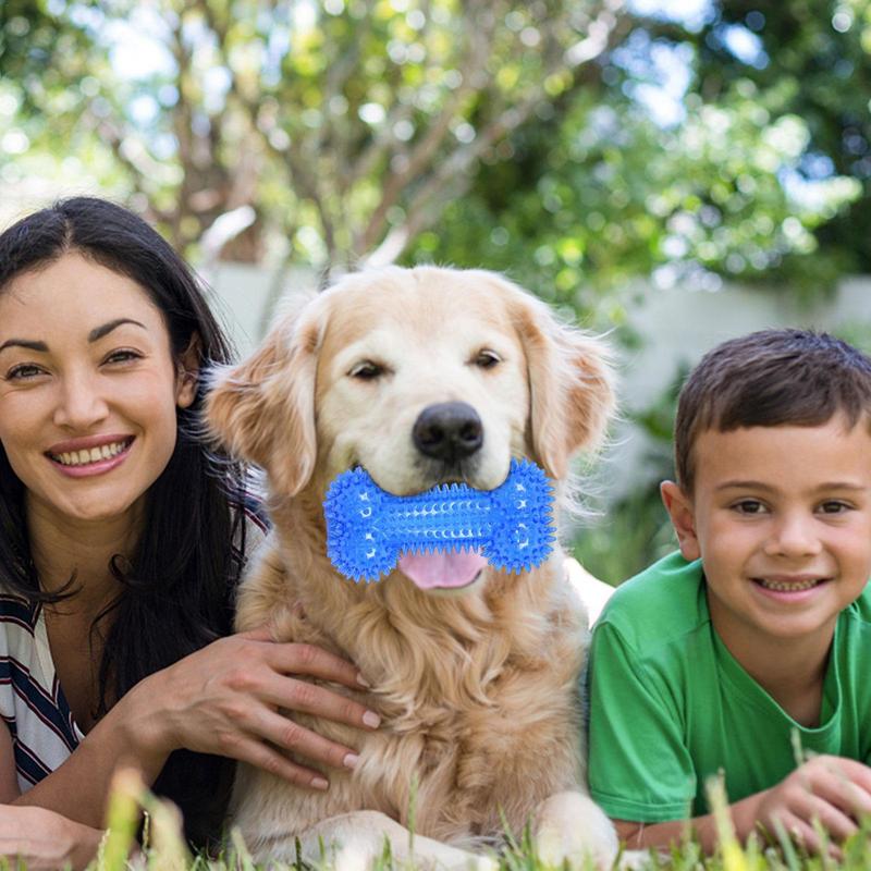 Bone-Piercing Shape Dog Teeth Cleaning Toys