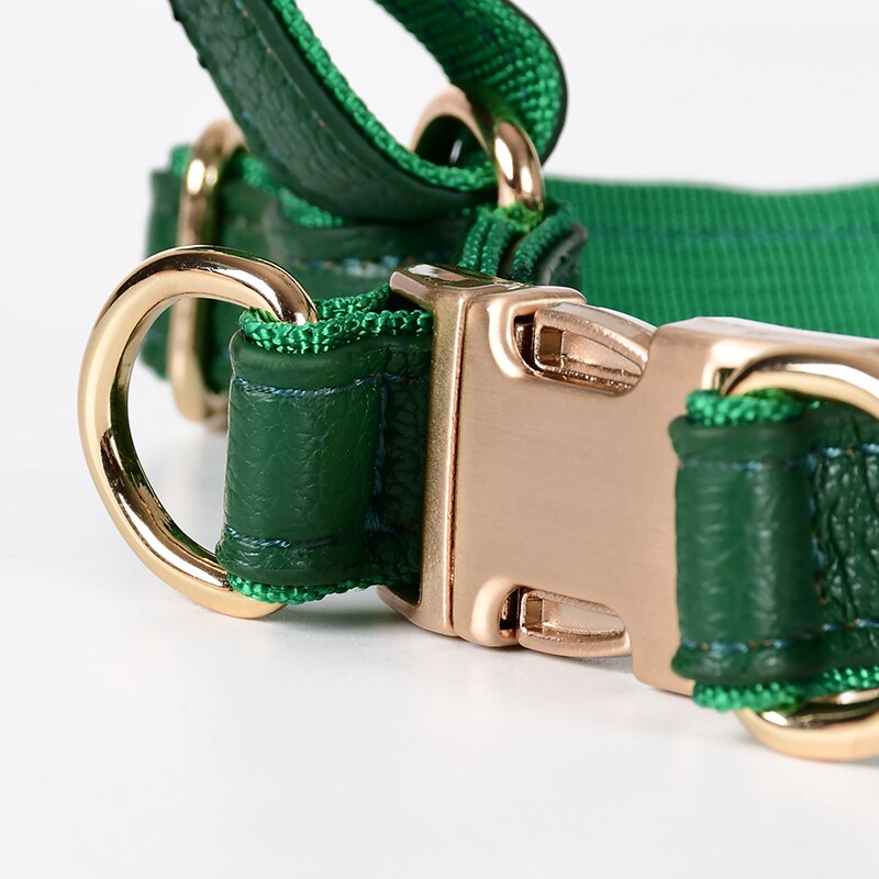 Harness Leather Dog Collar Leash Set