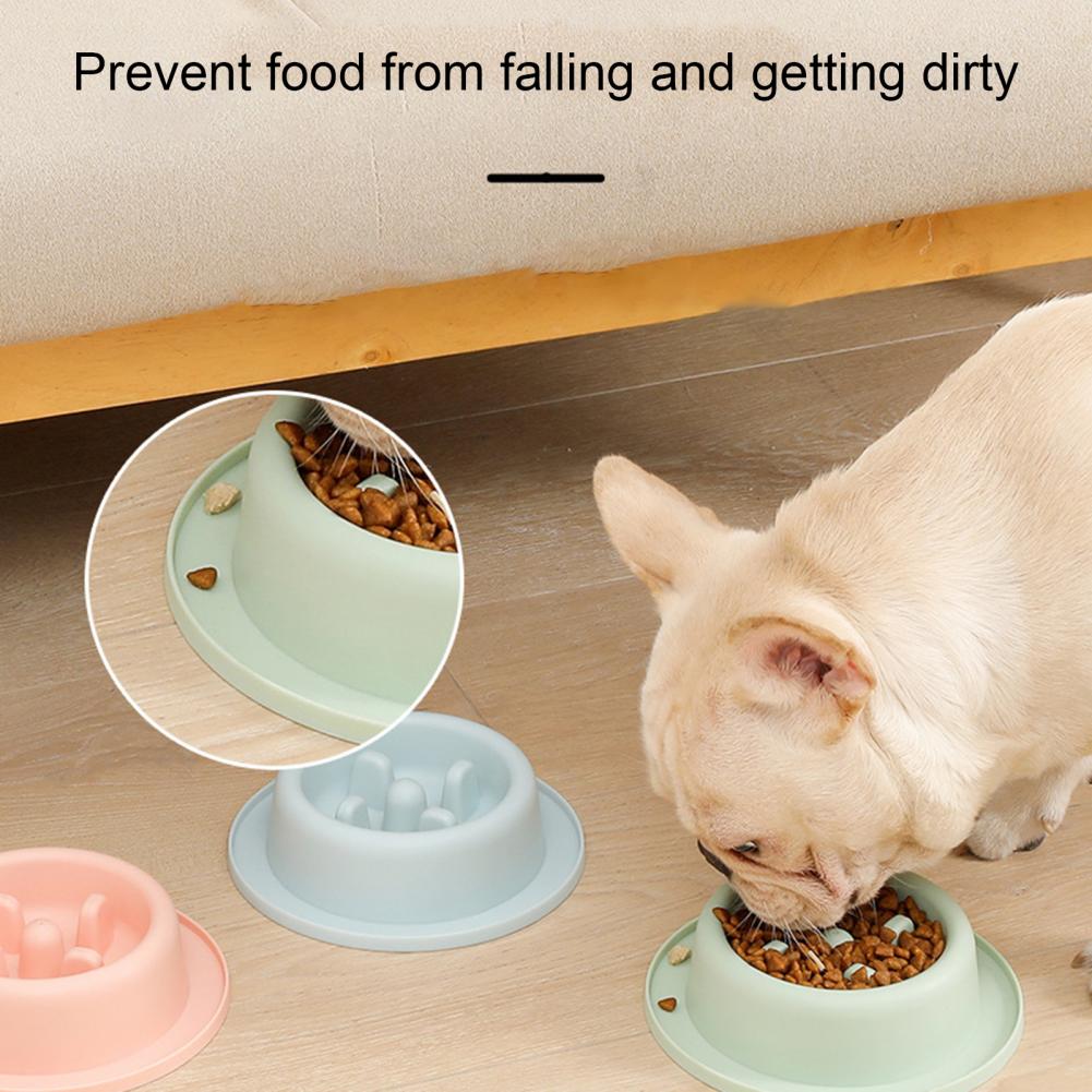 Safe Non-Slip Slow Feeder Pet Bowls