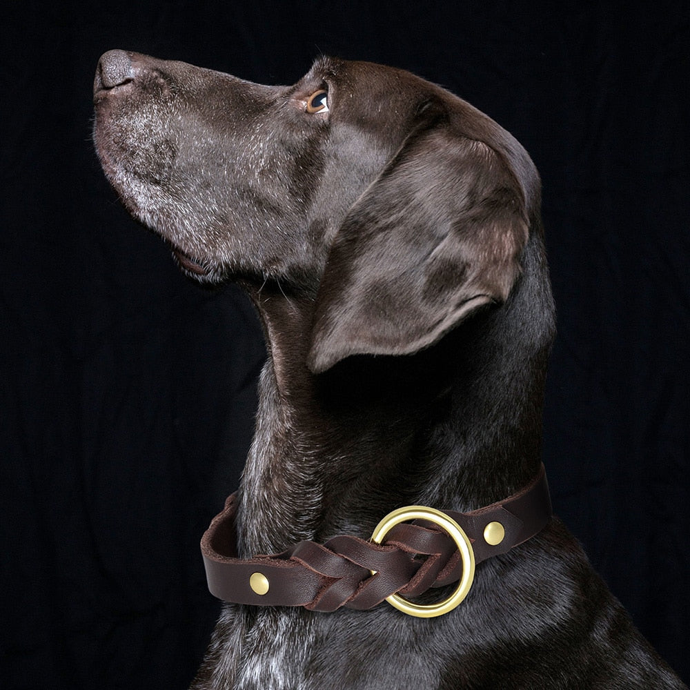 Leather Braided Dog Collars and Leash Sets
