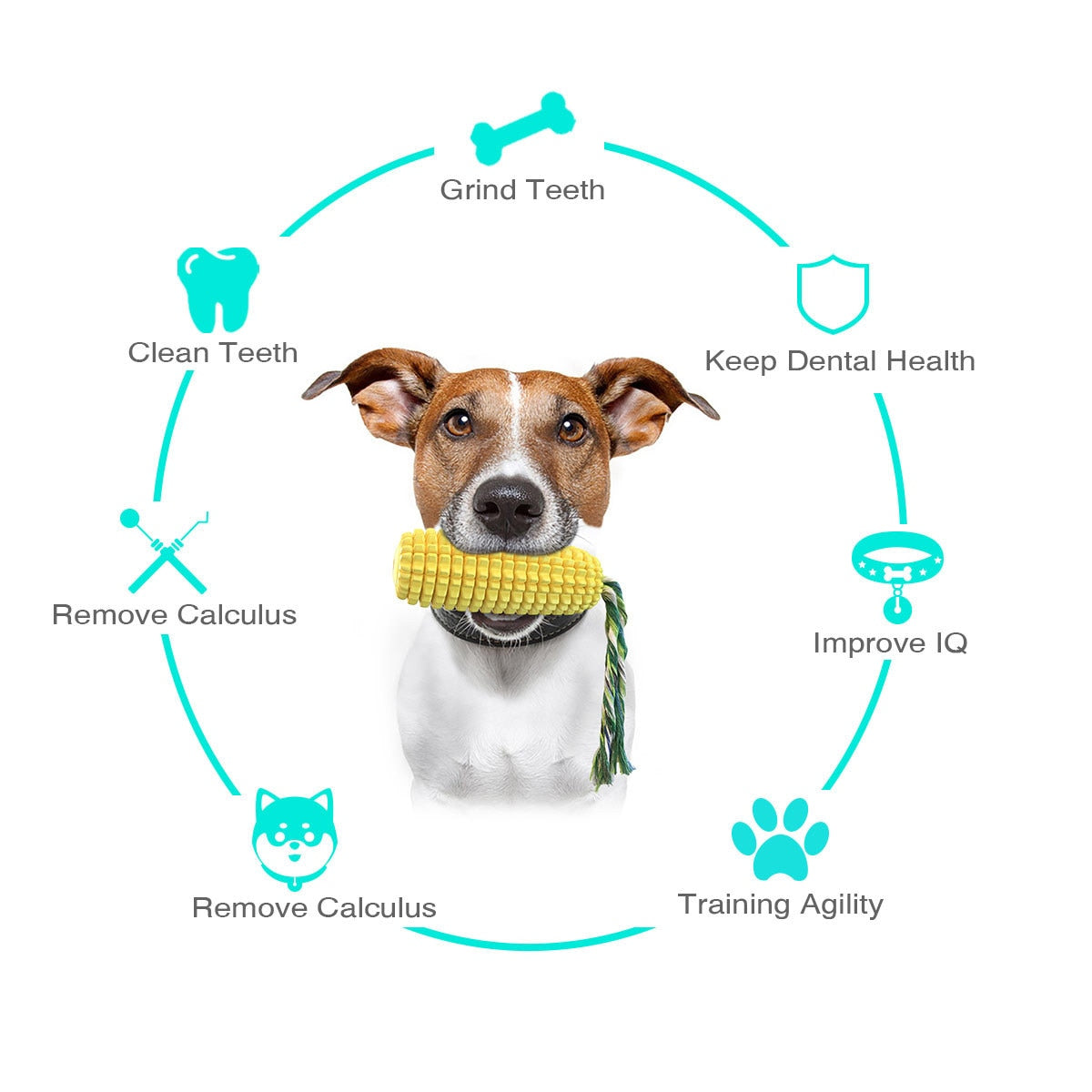 Simulation Corn Squeaky Chew Toys