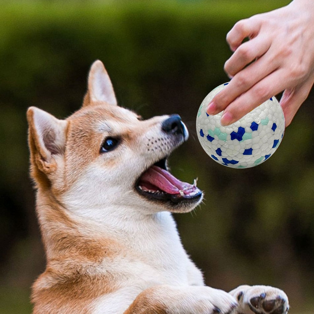 Bite Resistant Balls for Pet
