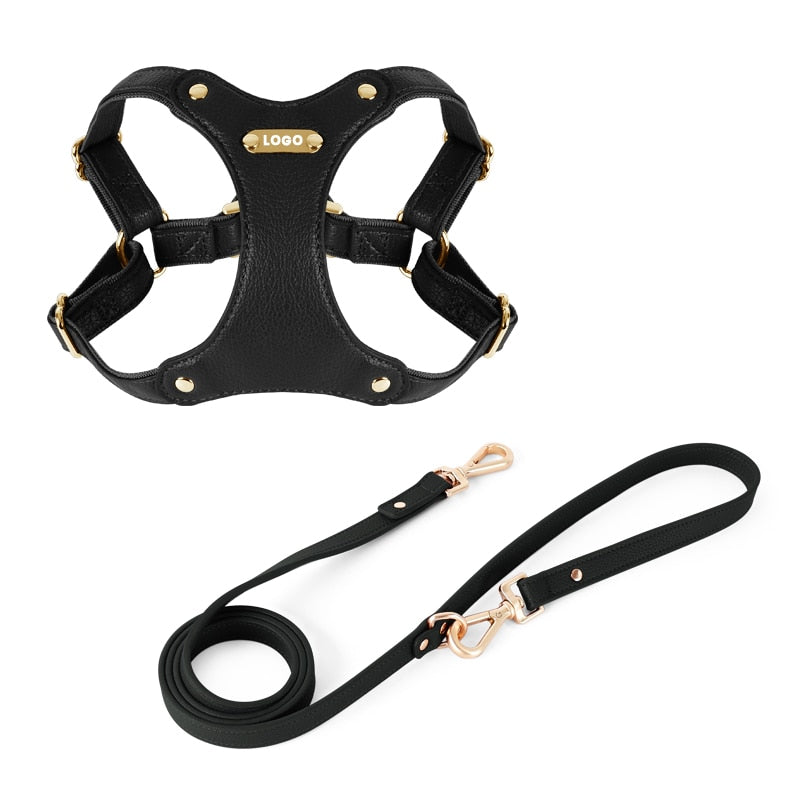 Harness Leather Dog Collar Leash Set