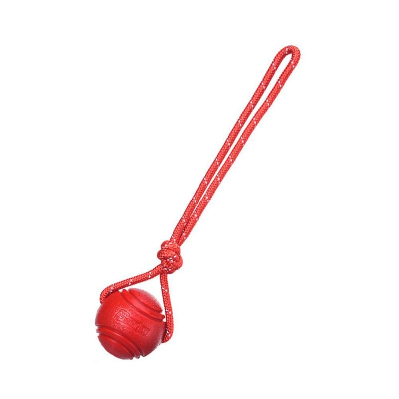 Cat Chew Toys and Interactive Tug Ball on Rope