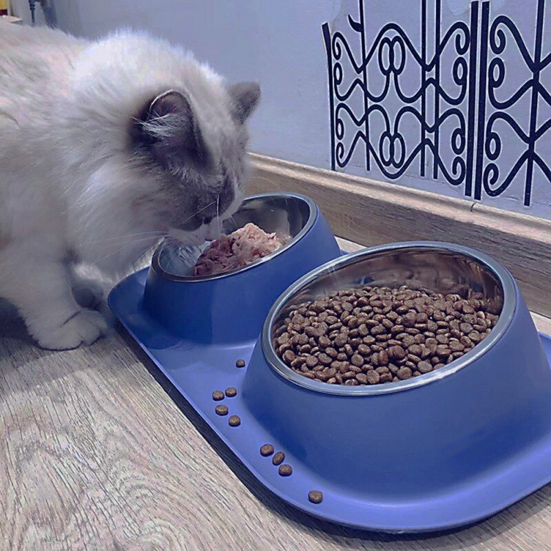 Double Bowl Stainless steel Pet Food Container with a Non-slip Base