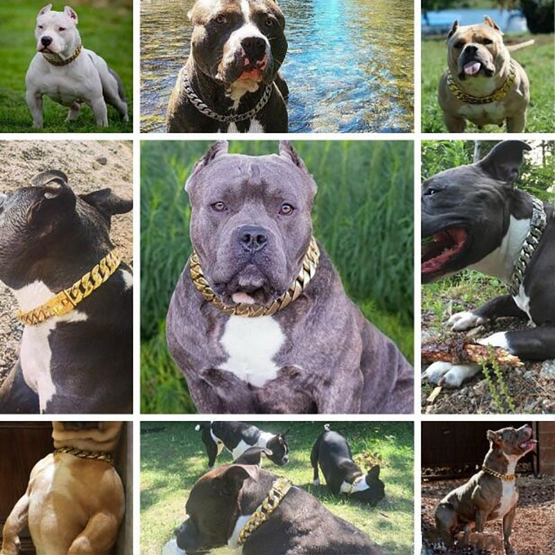 32mm Stainless Steel Dog Collar Necklaces