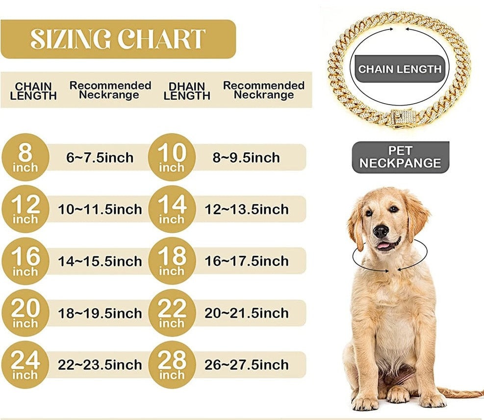 Luxury Diamond Dog Chain Collars