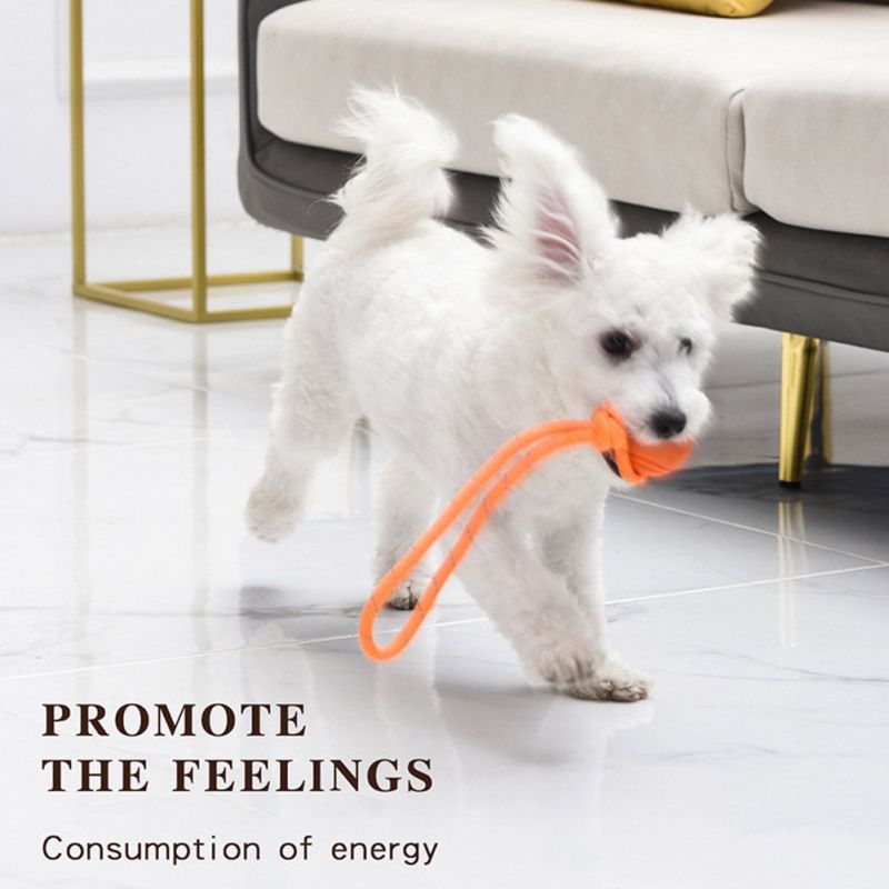 Cat Chew Toys and Interactive Tug Ball on Rope