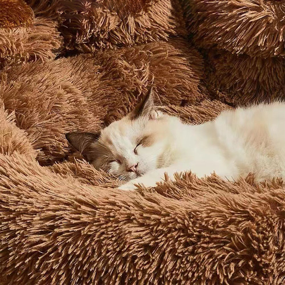 Pet Sofa Beds for Puppy Pawn