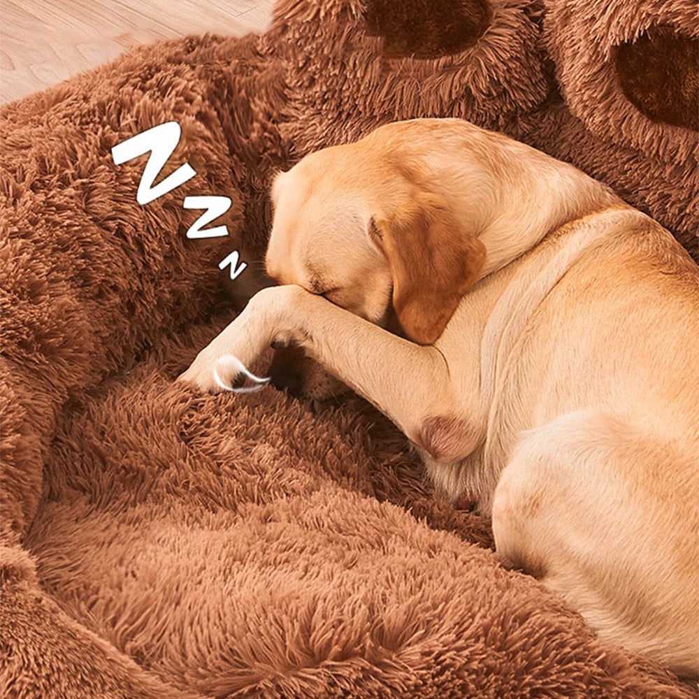 Pet Sofa Beds for Puppy Pawn