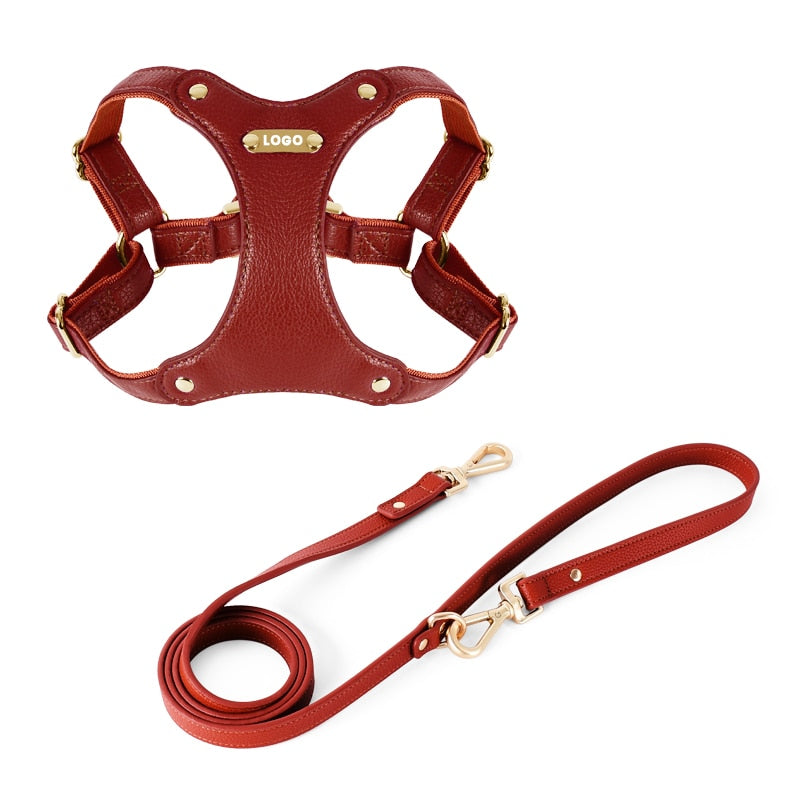 Harness Leather Dog Collar Leash Set