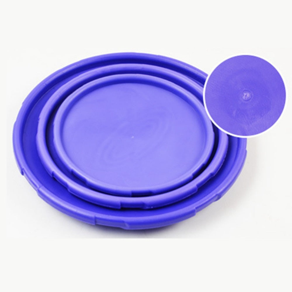 Fashion Flying Disc Dog Toy
