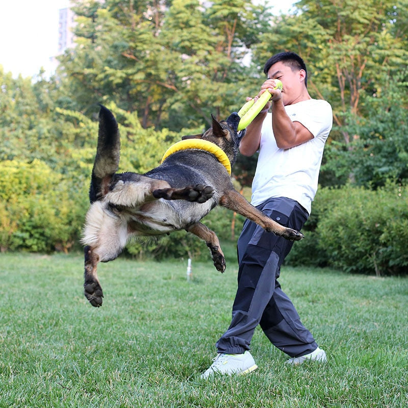 Pet Ball Launchers for Training Ring Puller Resistant Bite Floating Toy