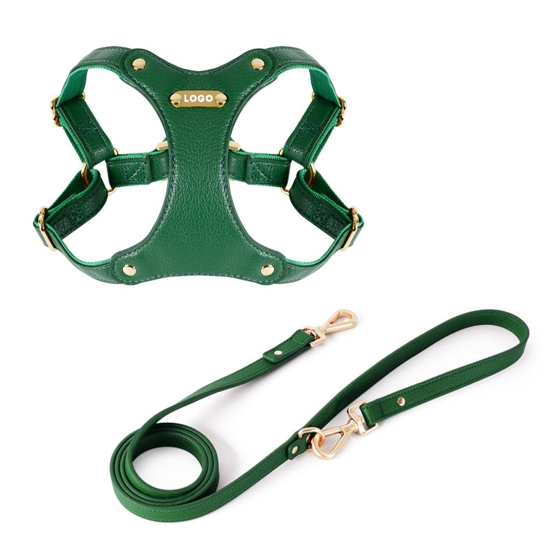 Harness Leather Dog Collar Leash Set