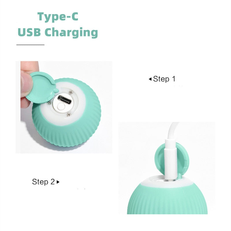 Electric Smart Balls for Dogs