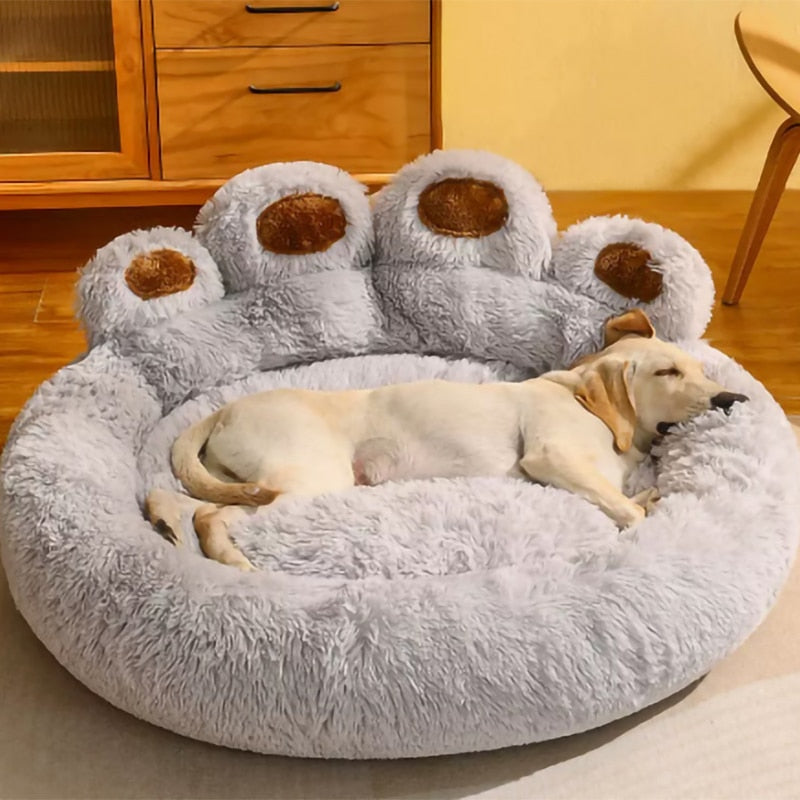 Pet Sofa Beds for Puppy Pawn