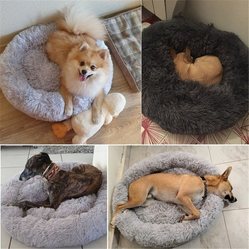 Pet Bed Four Seasons