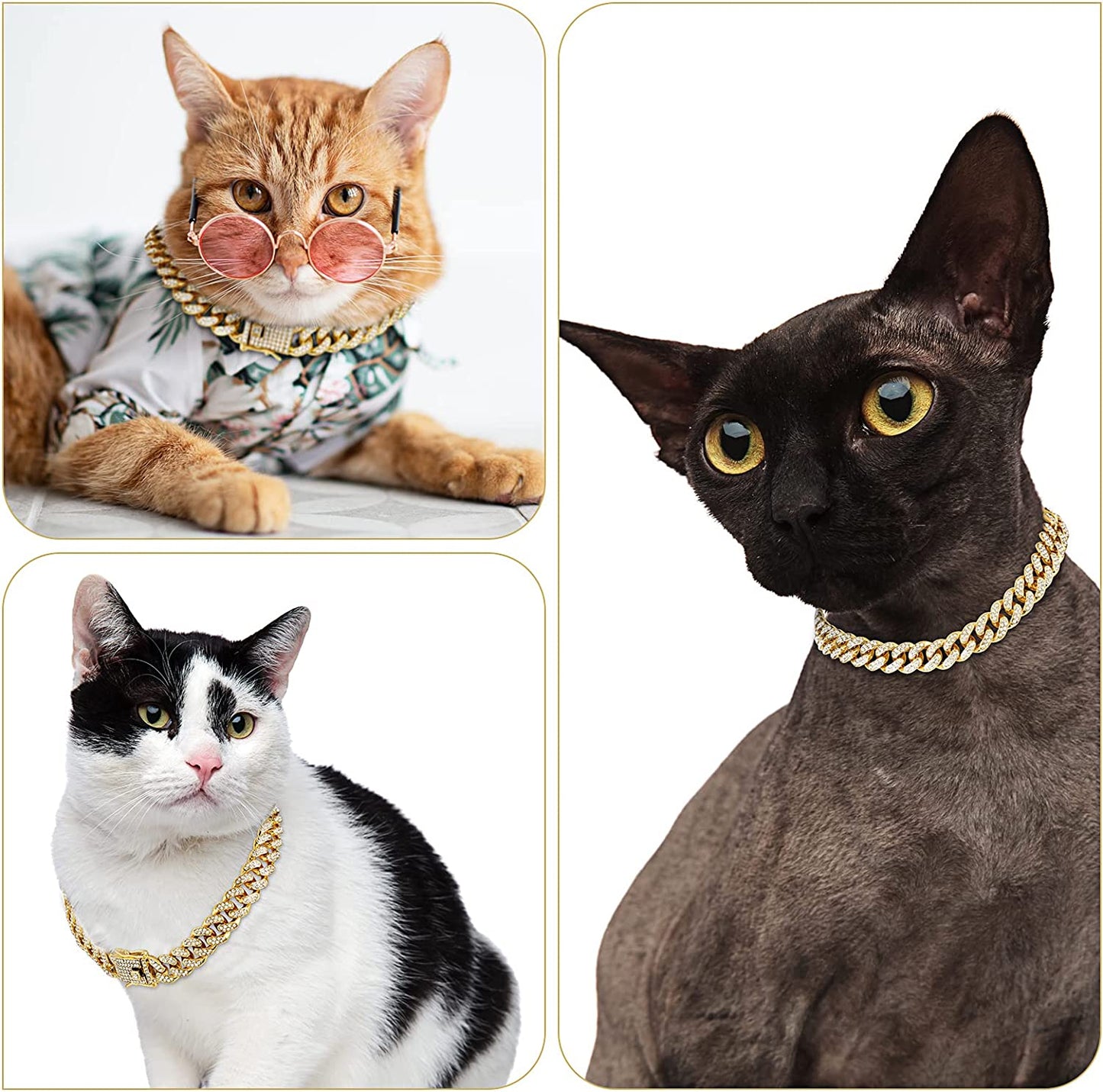 Luxury Diamond Dog Chain Collars