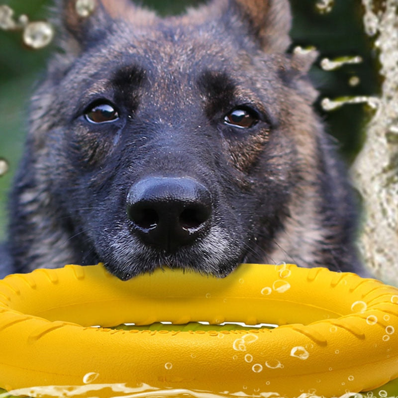 Pet Ball Launchers for Training Ring Puller Resistant Bite Floating Toy