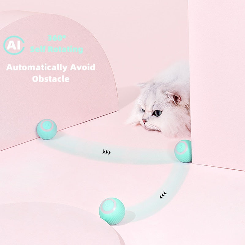 Electric Smart Balls for Dogs