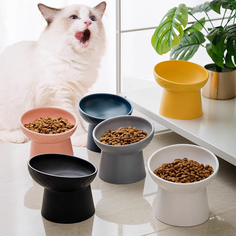 Color Ceramic Bowl Pet Eating Dishes High Foot Candy